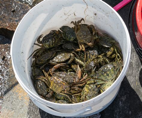7 Examples of Crab Mentality .